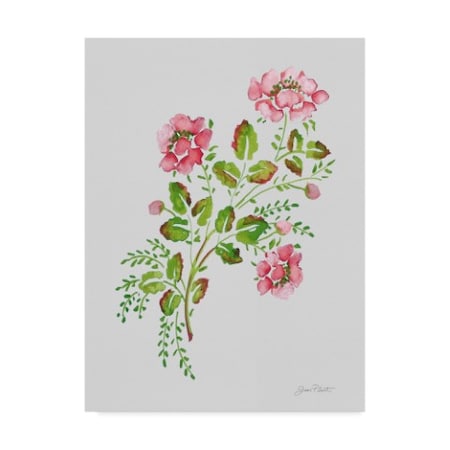 Jean Plout 'Wild Rose Pink 1' Canvas Art,18x24